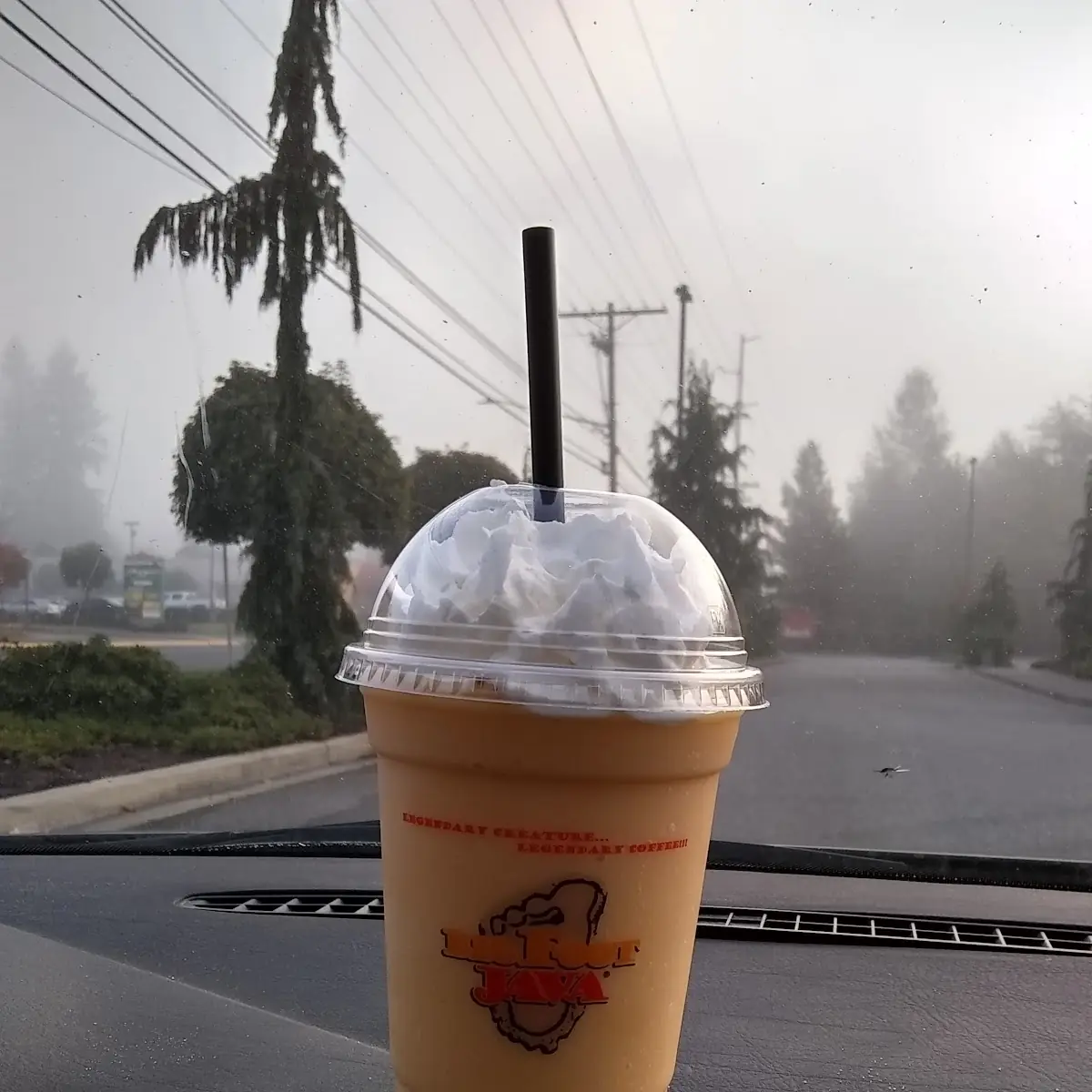 Mango Smoothie