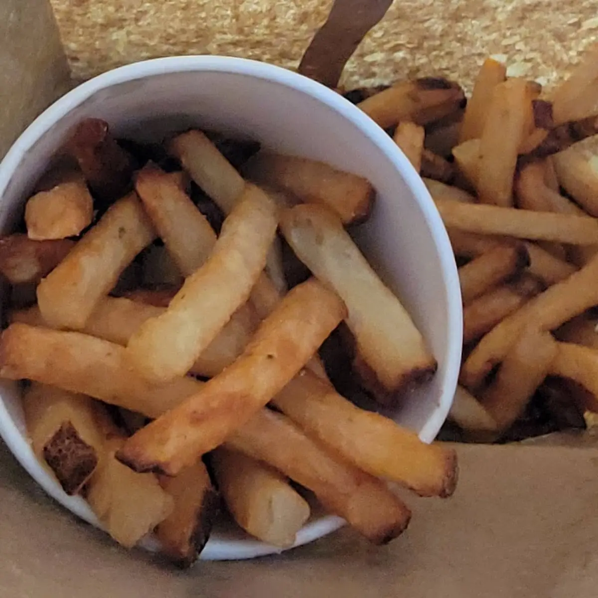 World Famous Fries