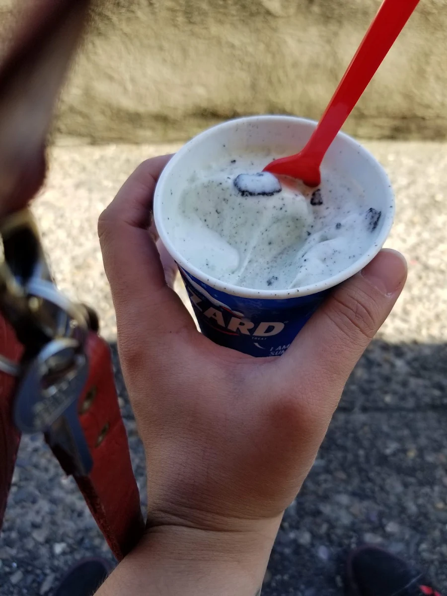 Oreo Blizzard