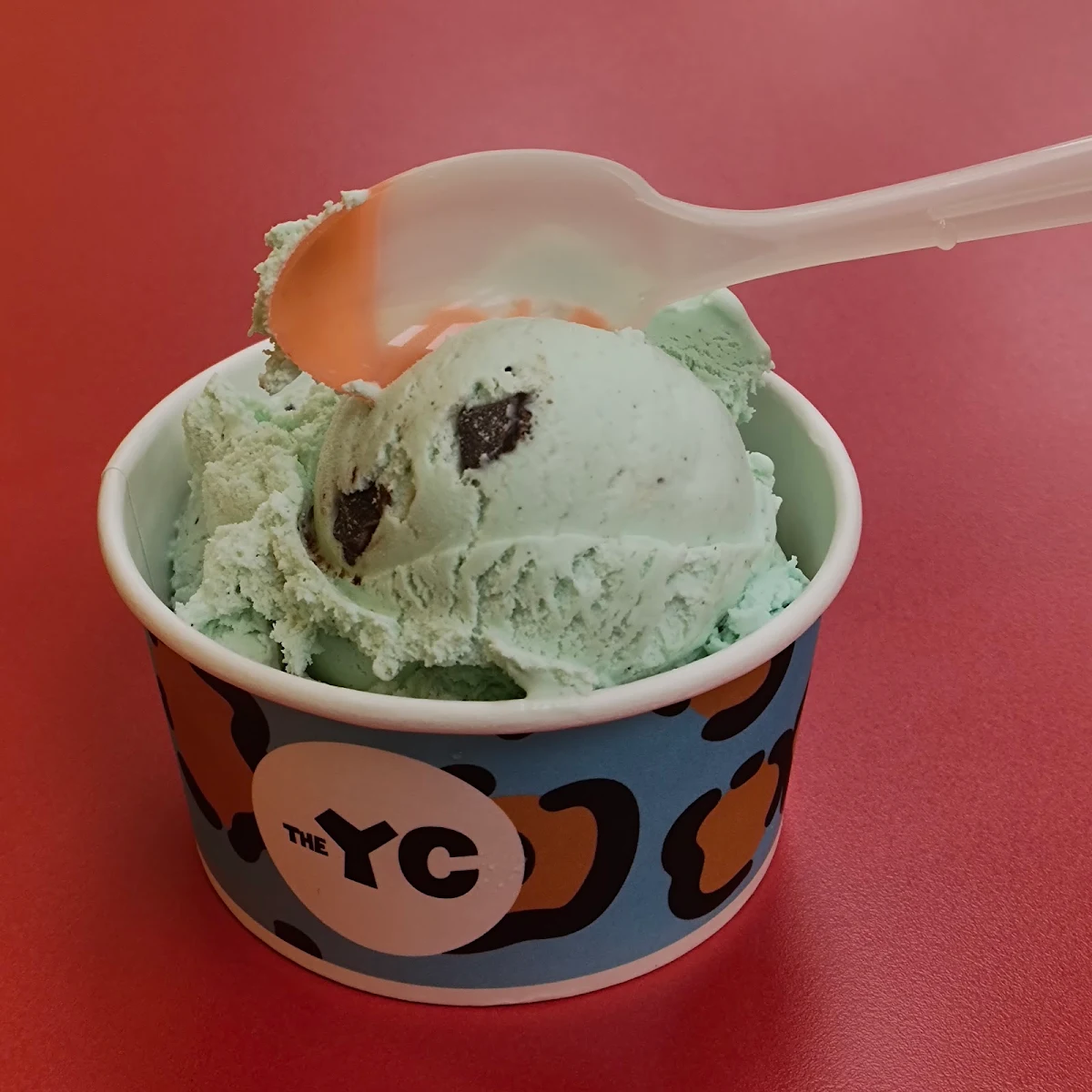 Mint Chocolate Chip Scoop