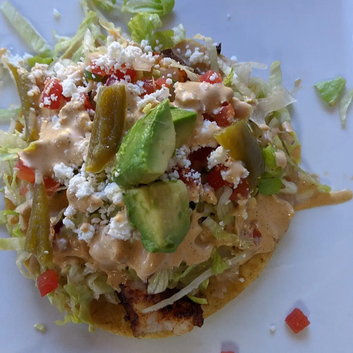 Shrimp Tostada