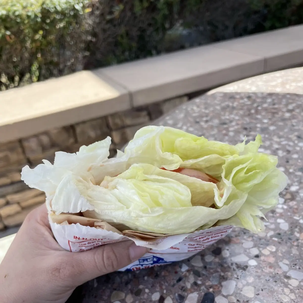 Low Carb Burger