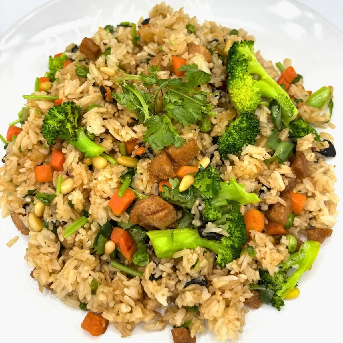 Special Fried Rice