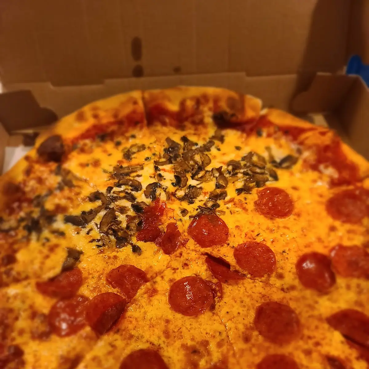 Mushroom Pizza