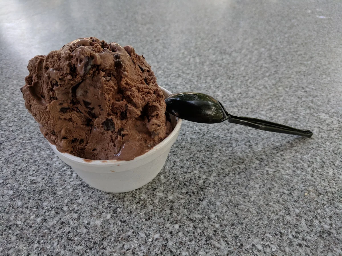 Chocolate Frozen Yogurt