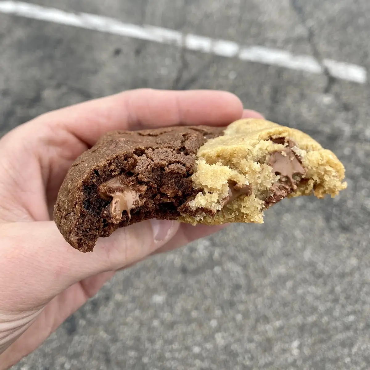 Double Chocolate Chip