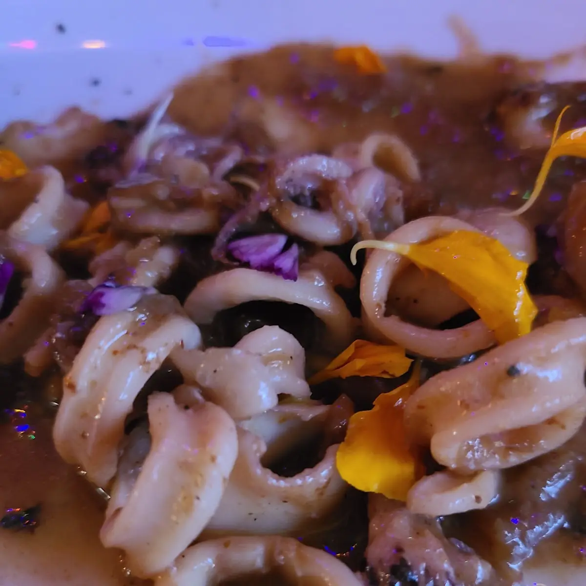 Calamari