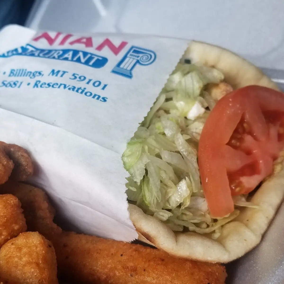 Chicken Gyro with Zucchini Sticks