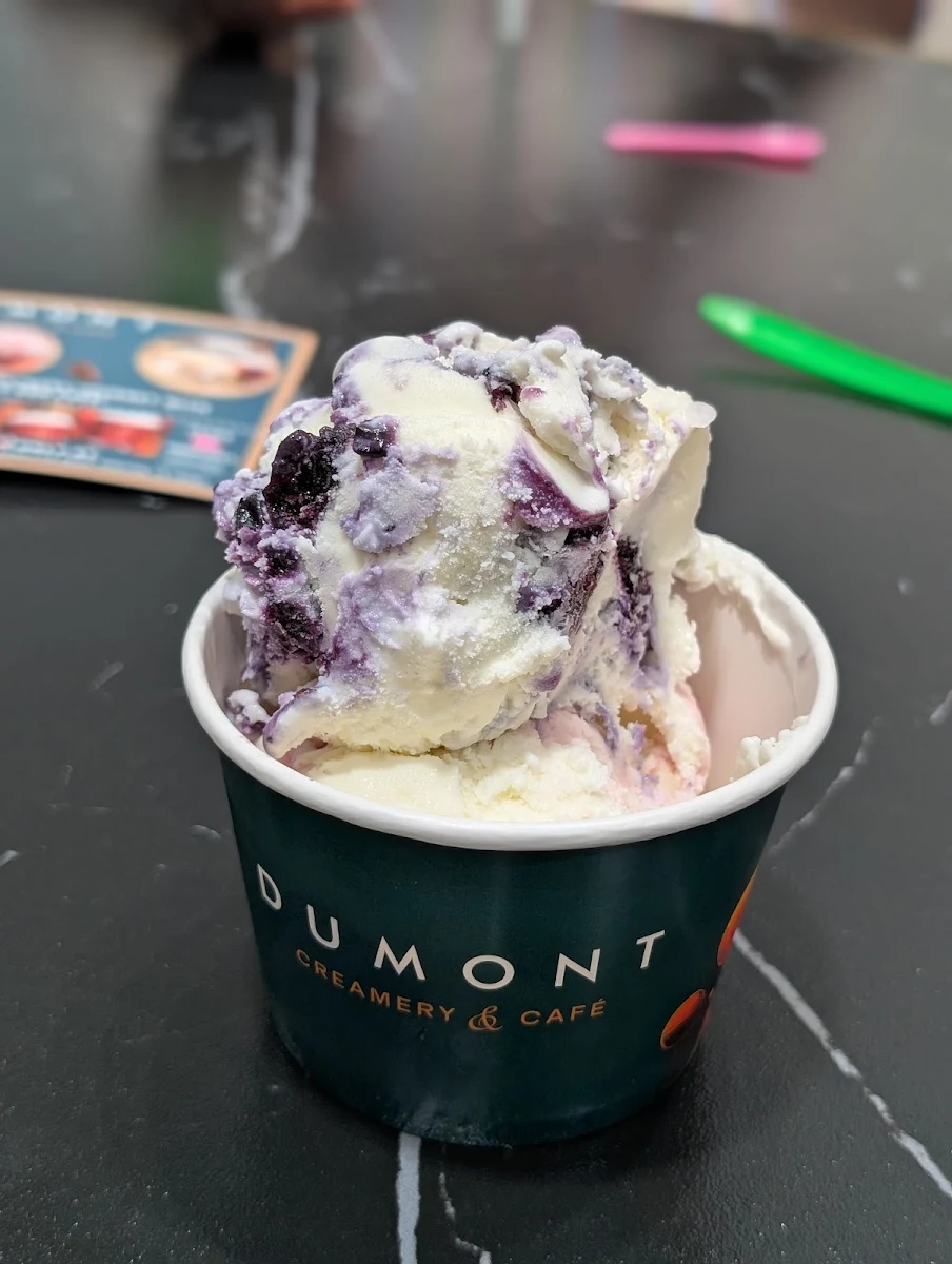 Dumont Chocolate Ice Cream