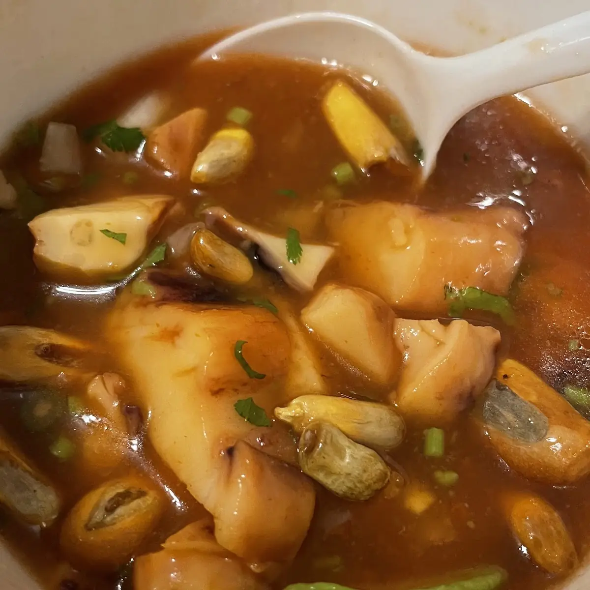 Hot and Sour Soup