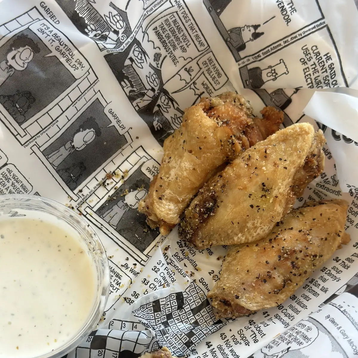 Schoolyard Wings 12