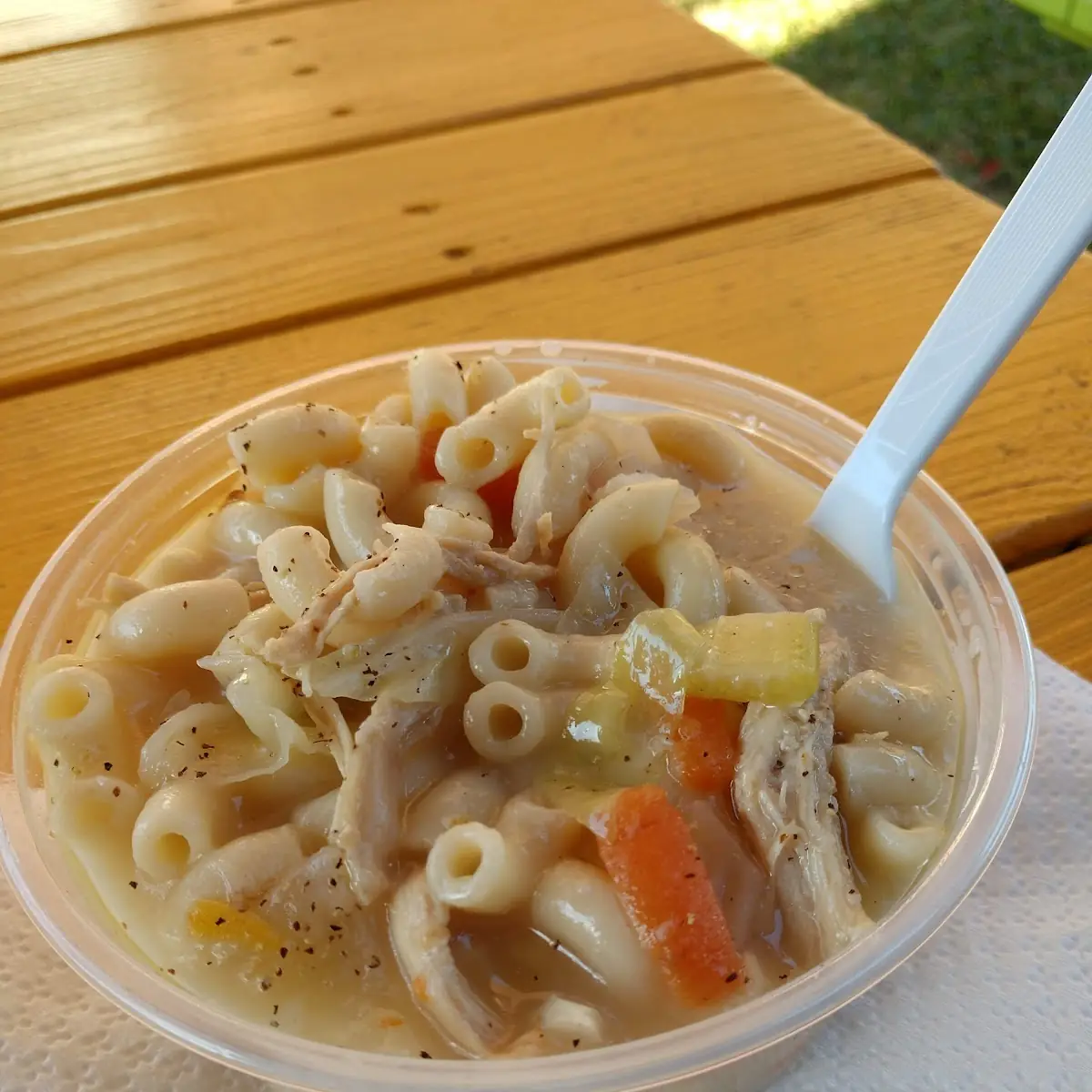 Chicken Noodle Soup