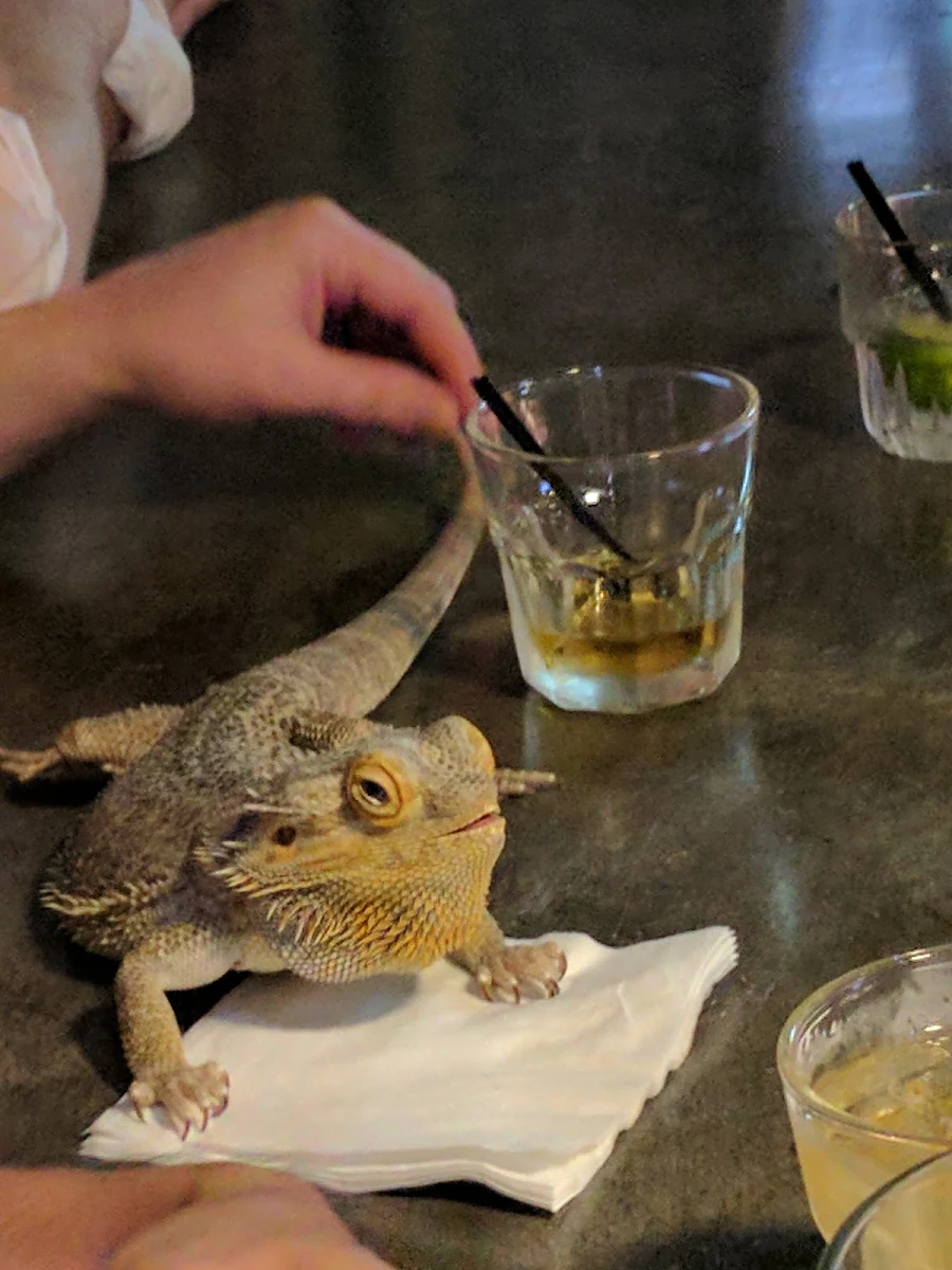 Baked Dragon Roll