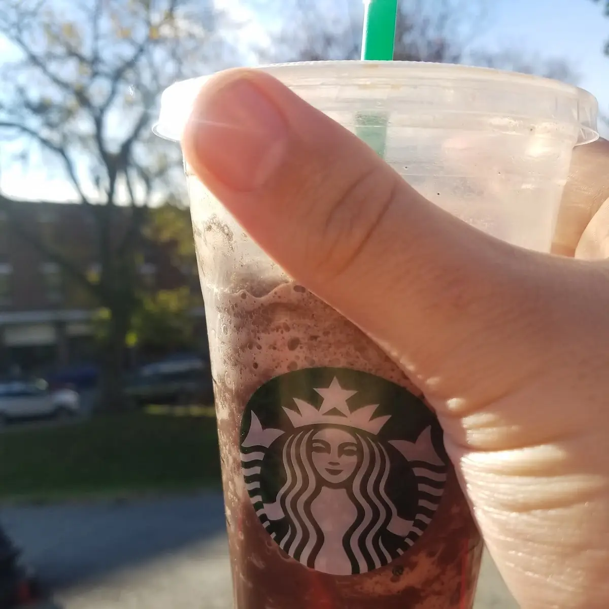 Chocolate Chip Mocha Frappe