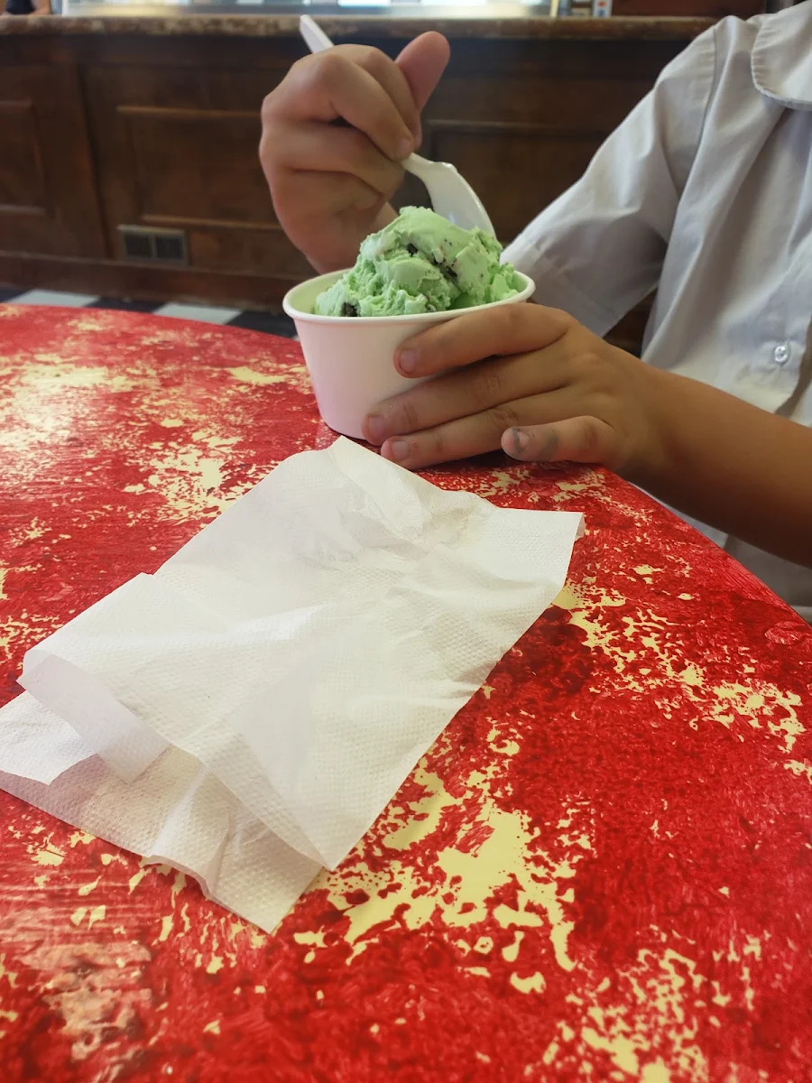 Mint Chocolate Chip Ice Cream