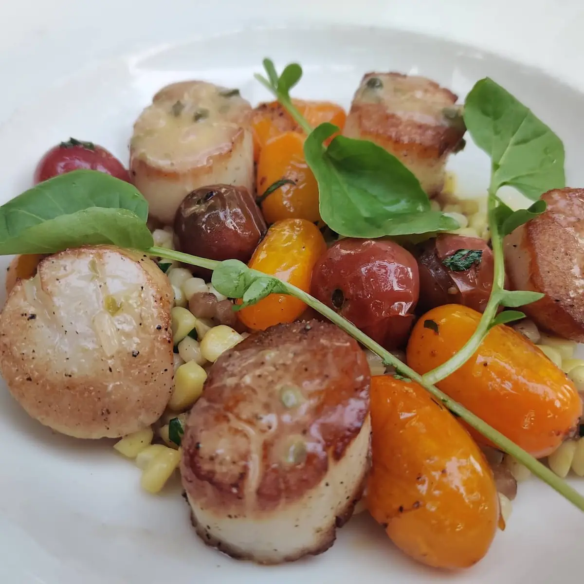 Pan Seared Sea Scallops