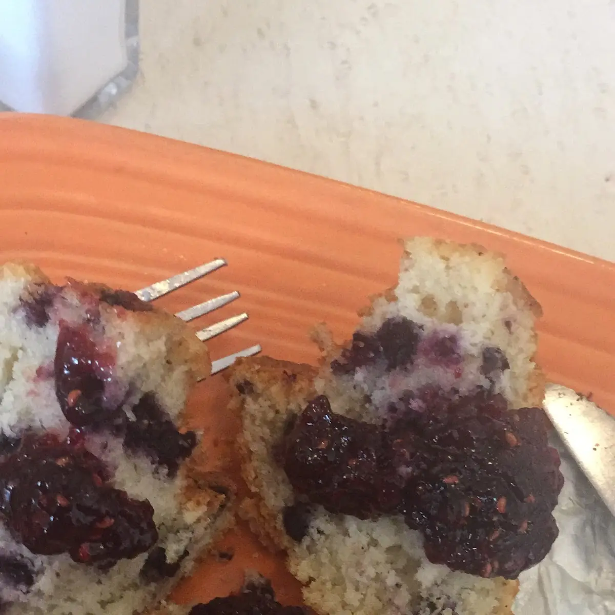 Blueberry Muffin