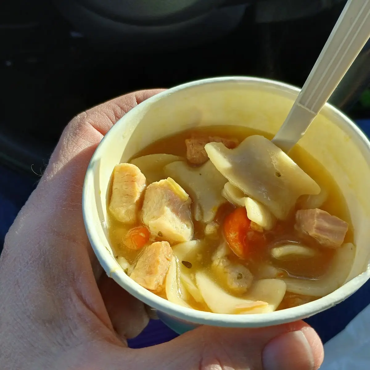 Chicken Noodle Soup