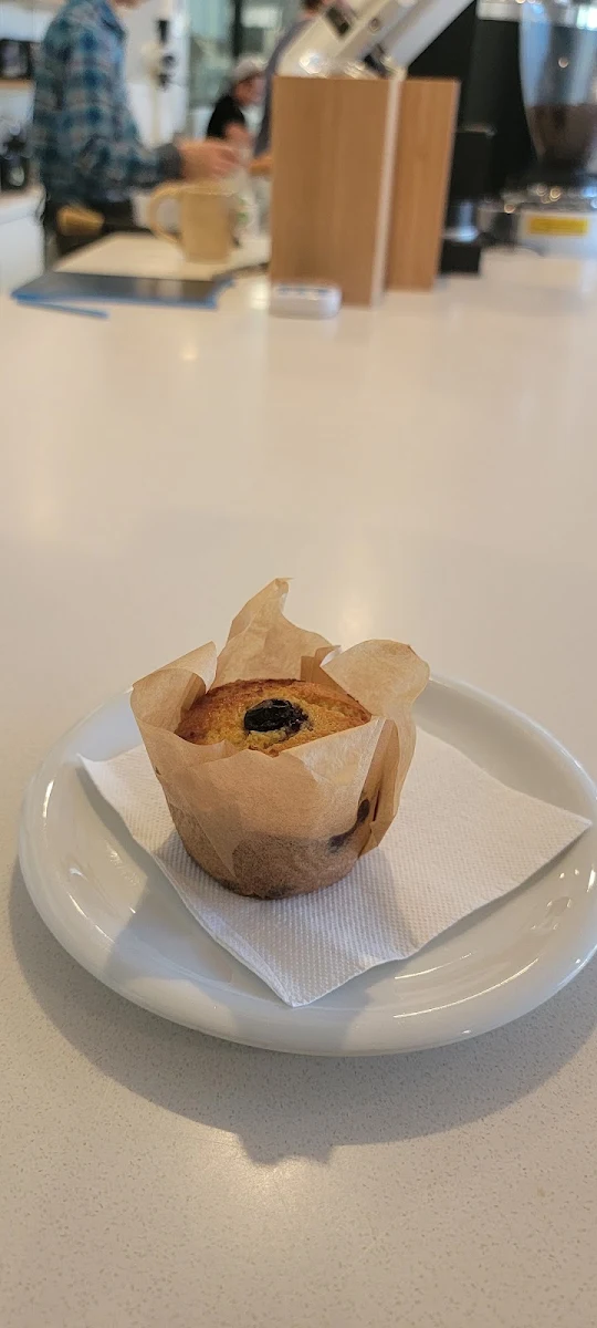 Blueberry Muffin