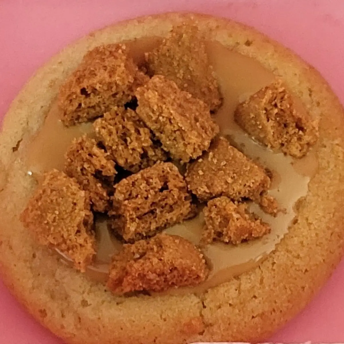 Not-So-Junior S'Mores Cookie 1