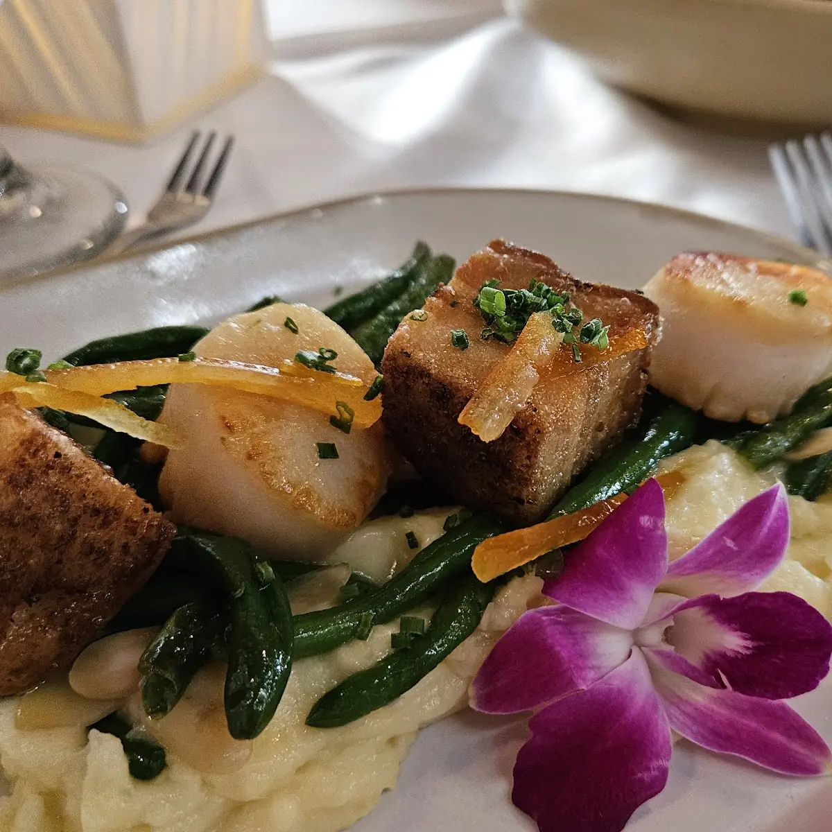 Scallops & Pork Belly
