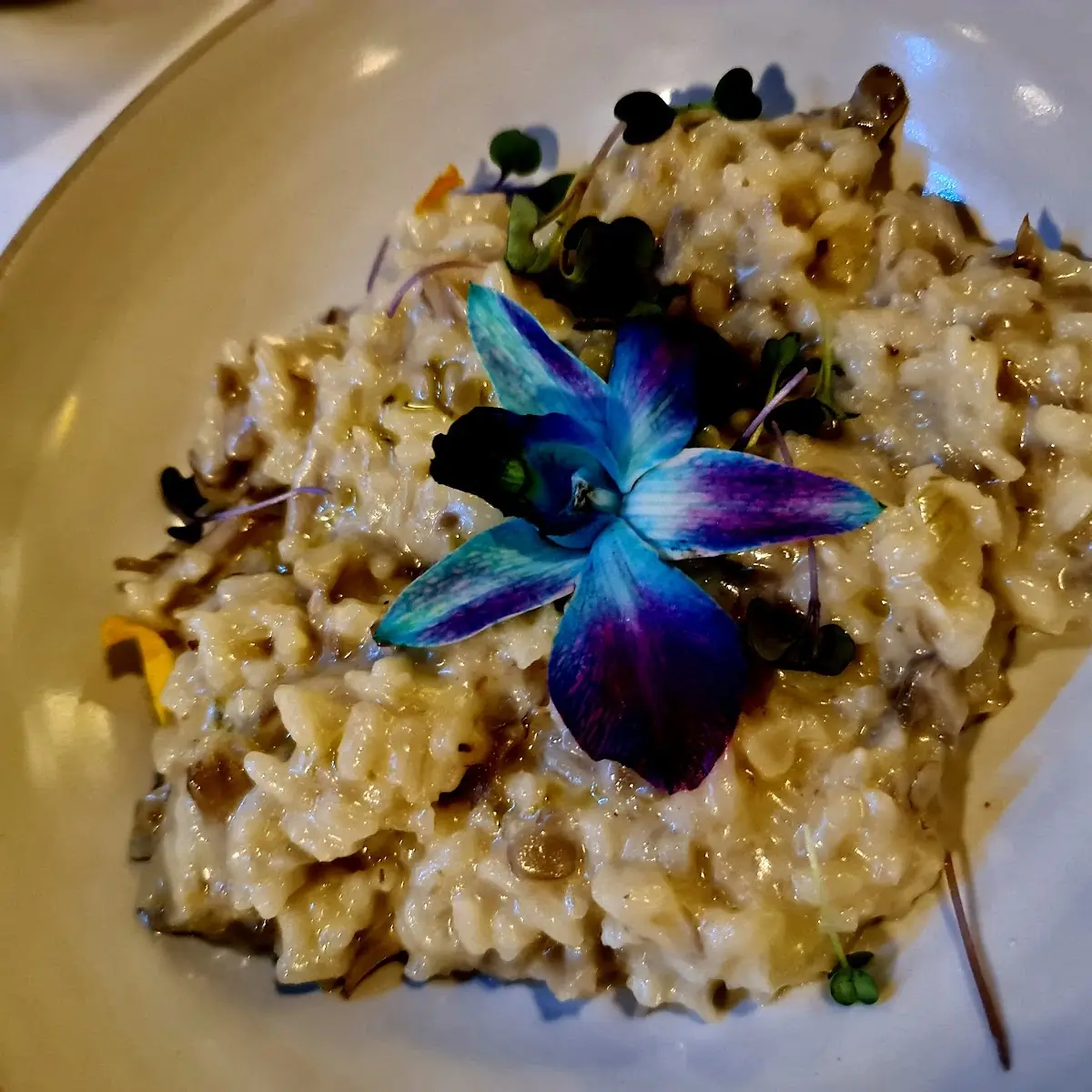 Wild Mushroom Risotto