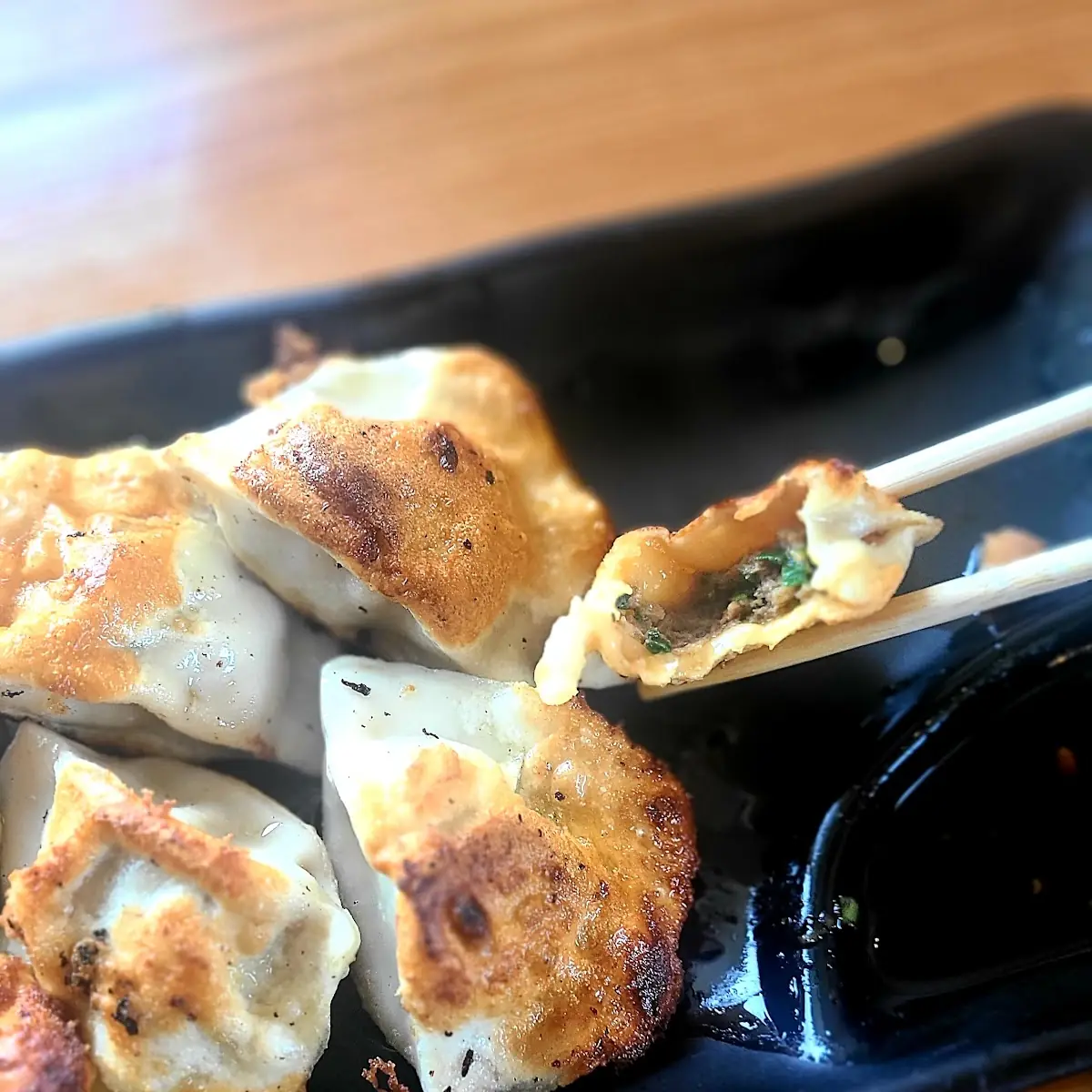 Pan Seared Dumplings