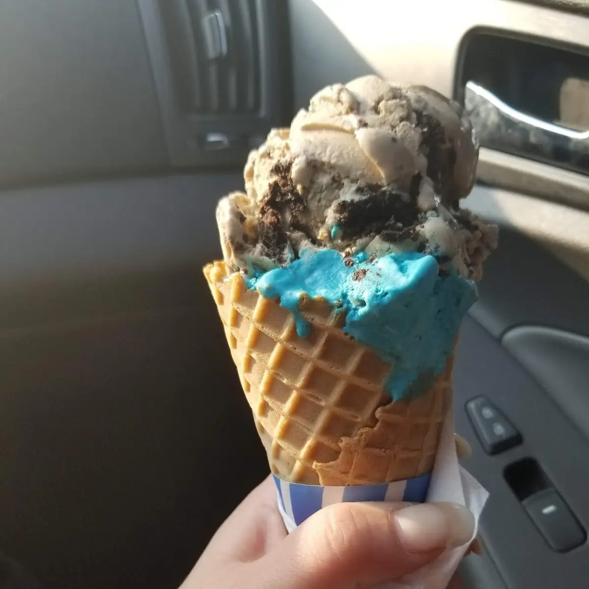 Cookie Monster