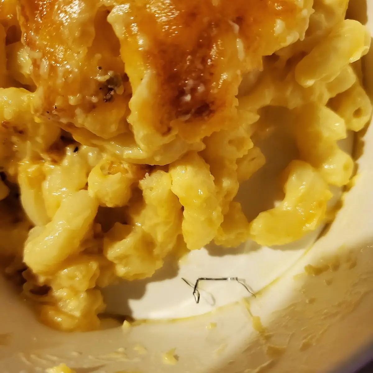 Mac & Cheese