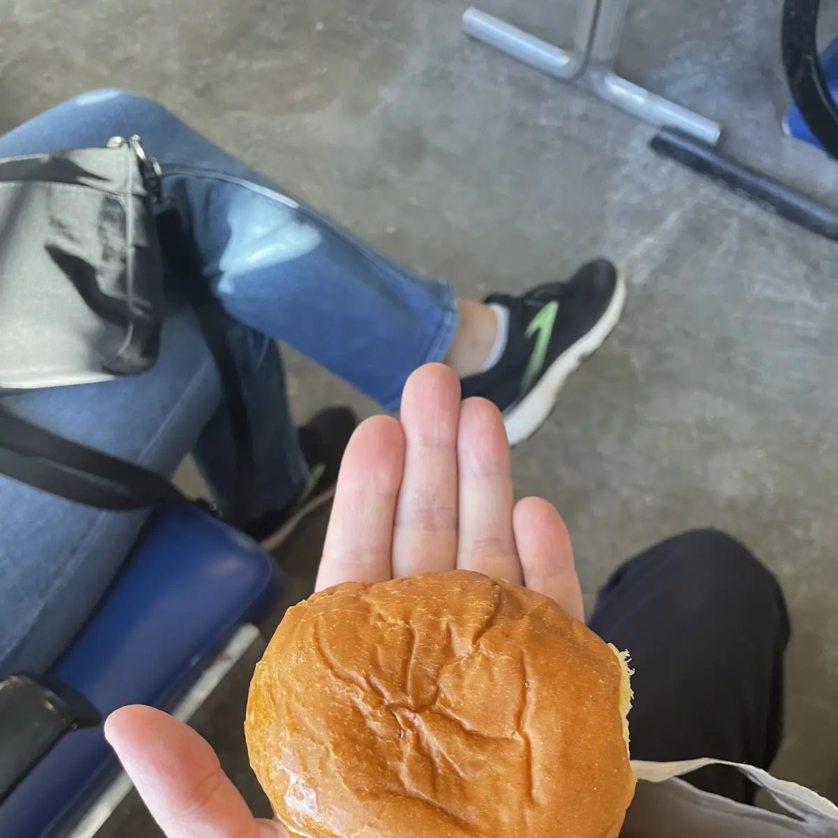 Mushroom Burger