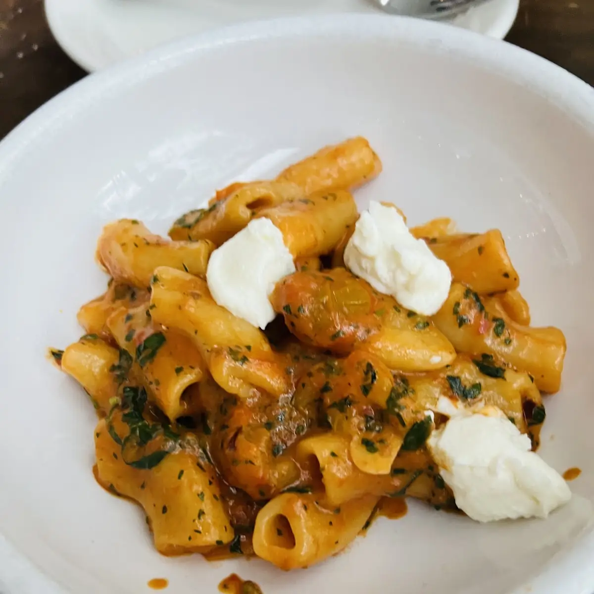 Rigatoni with Vodka Sauce