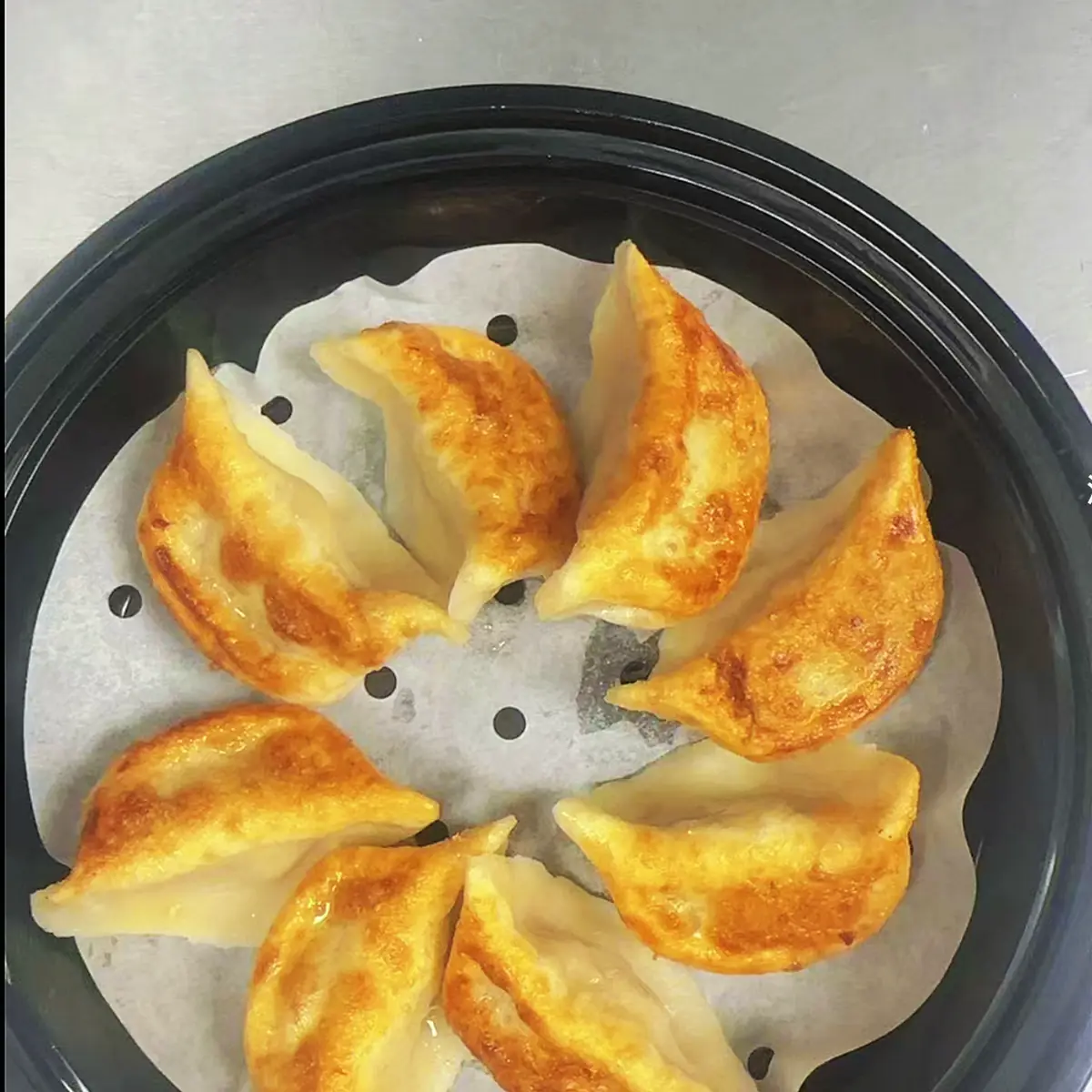 Pan-Fried Chicken Pork Dumpling