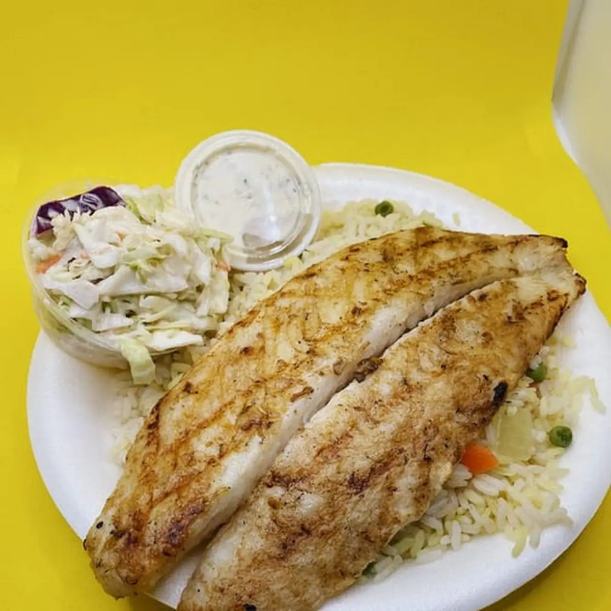 Tilapia Fillet Charbroiler