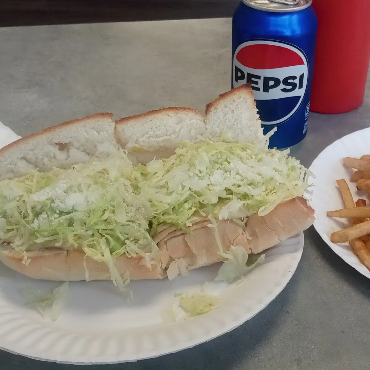 Turkey Sub & French Fries