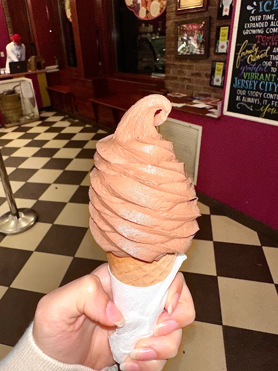 Vegan Chocolate Twist