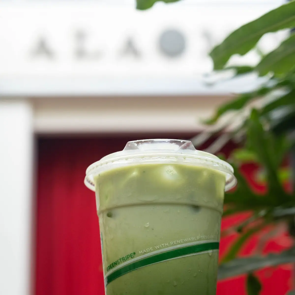 Sweet Cream Matcha Latte