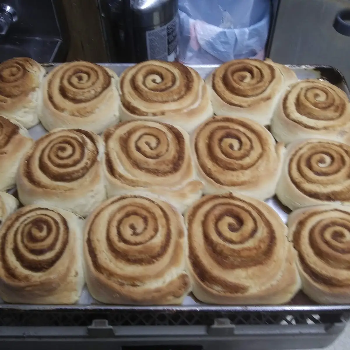 Cinnamon Rolls