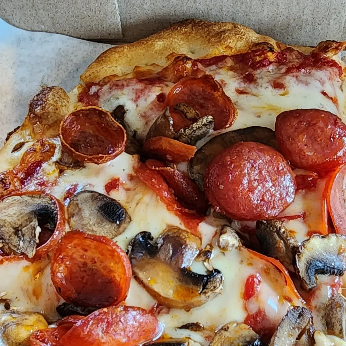 Peperoni and Mushroom Pizza