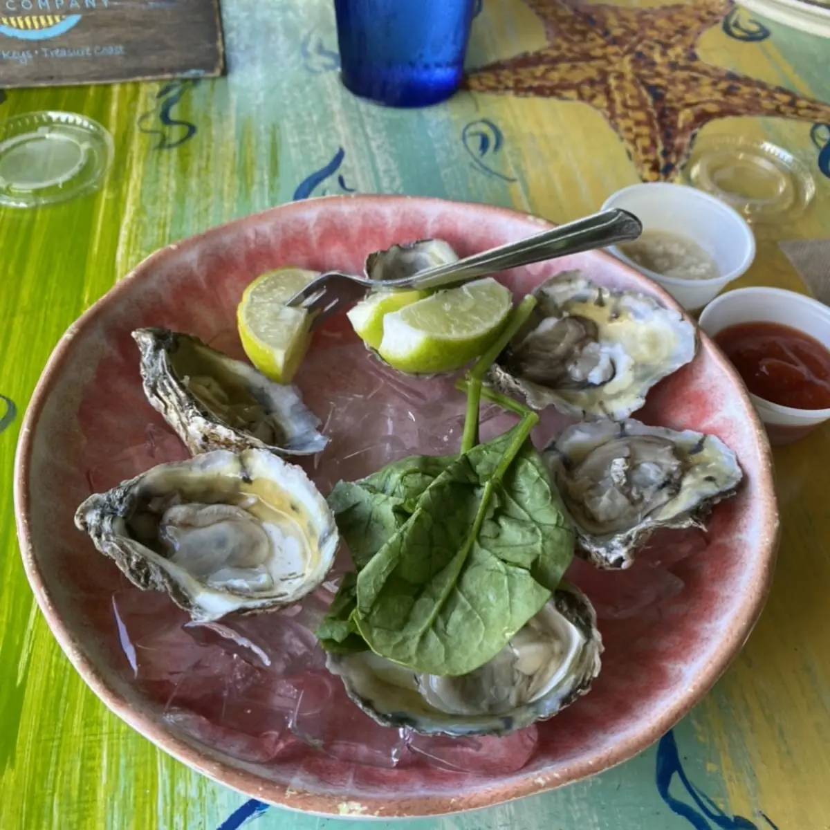 Raw Oysters on the Half Shell