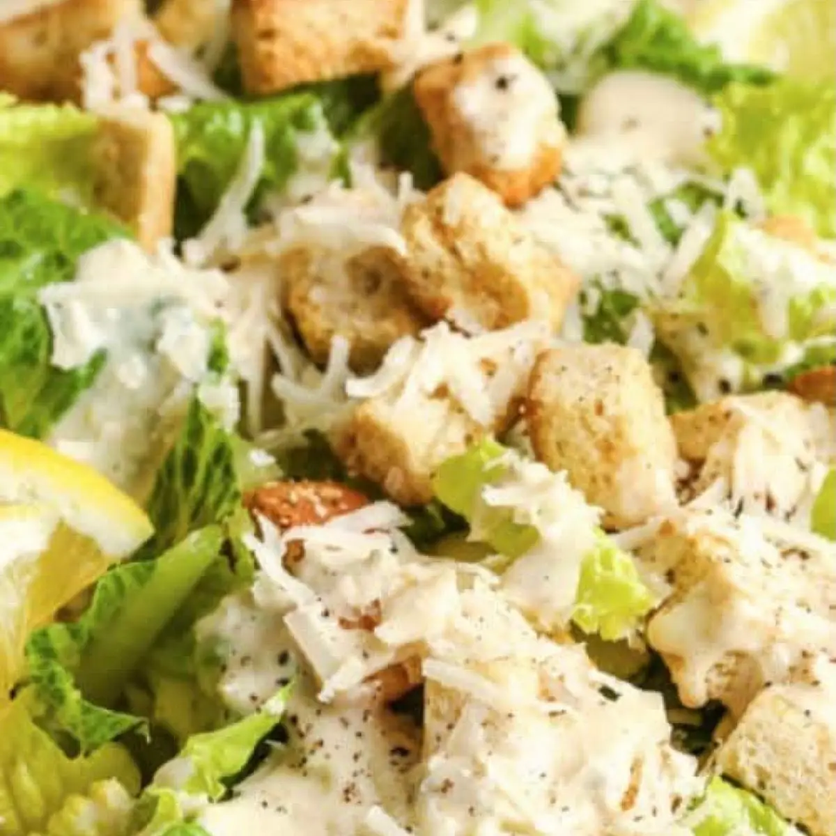 Chicken Caesar Wrap Lunch