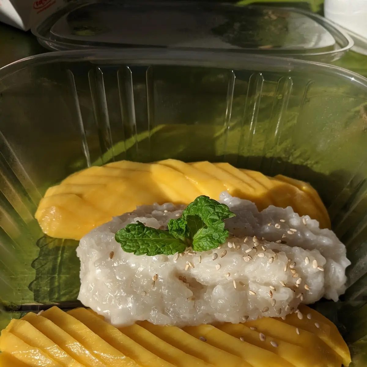Mango Sticky Rice