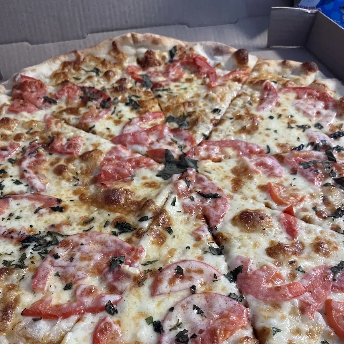 Margherita Pizza