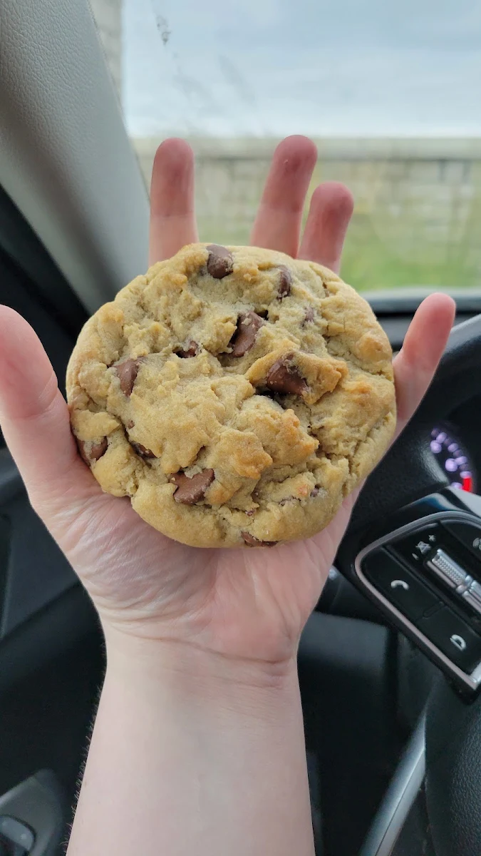 Chocolate Chip Cookie