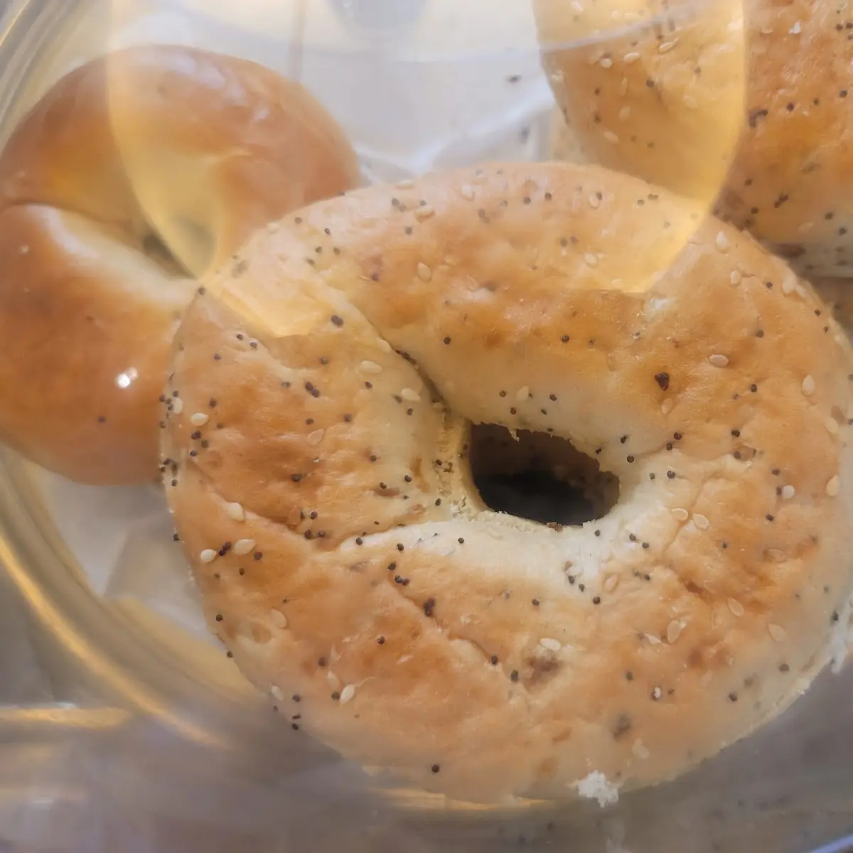 Bagel