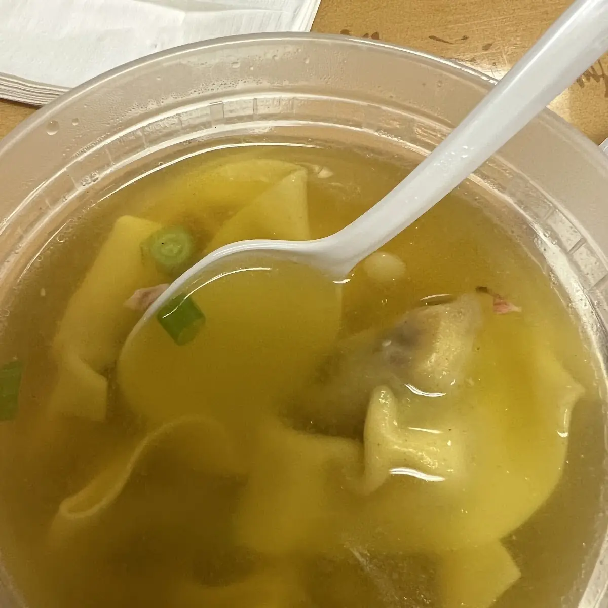 Wonton Soup
