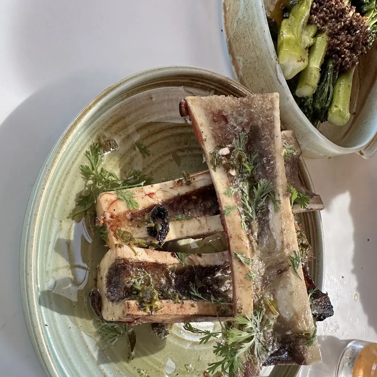 Bone Marrow 3