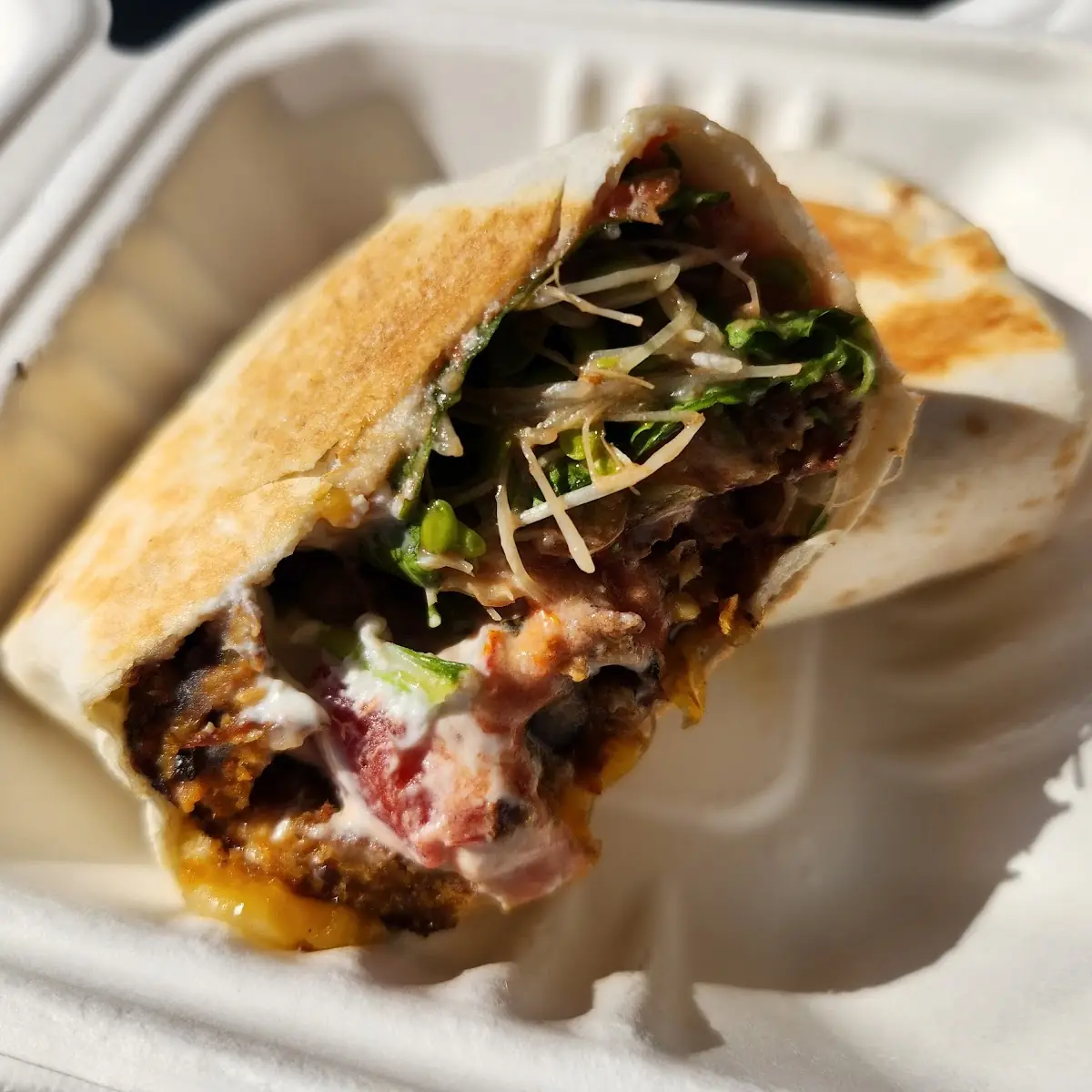 Black Bean Wrap