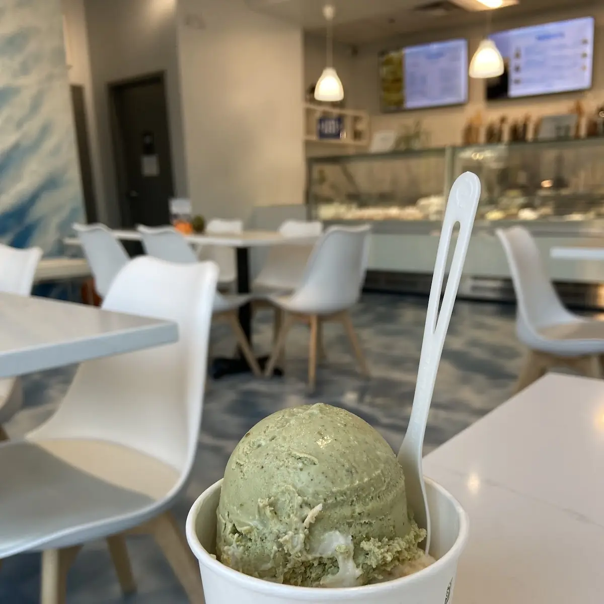 Green Tea Mint Chocolate Ice Cream