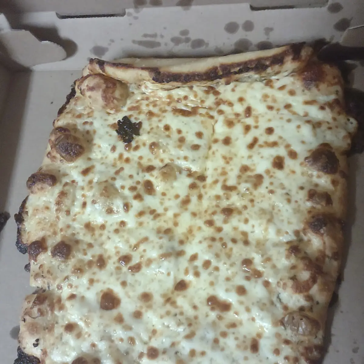 Cheesey Bread Sticks with Burnt Edges