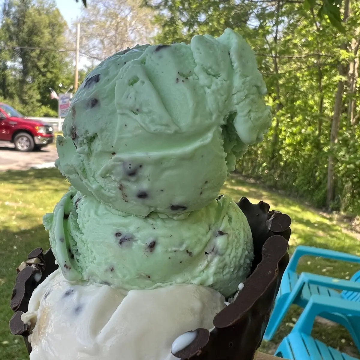 Chocolate Chip